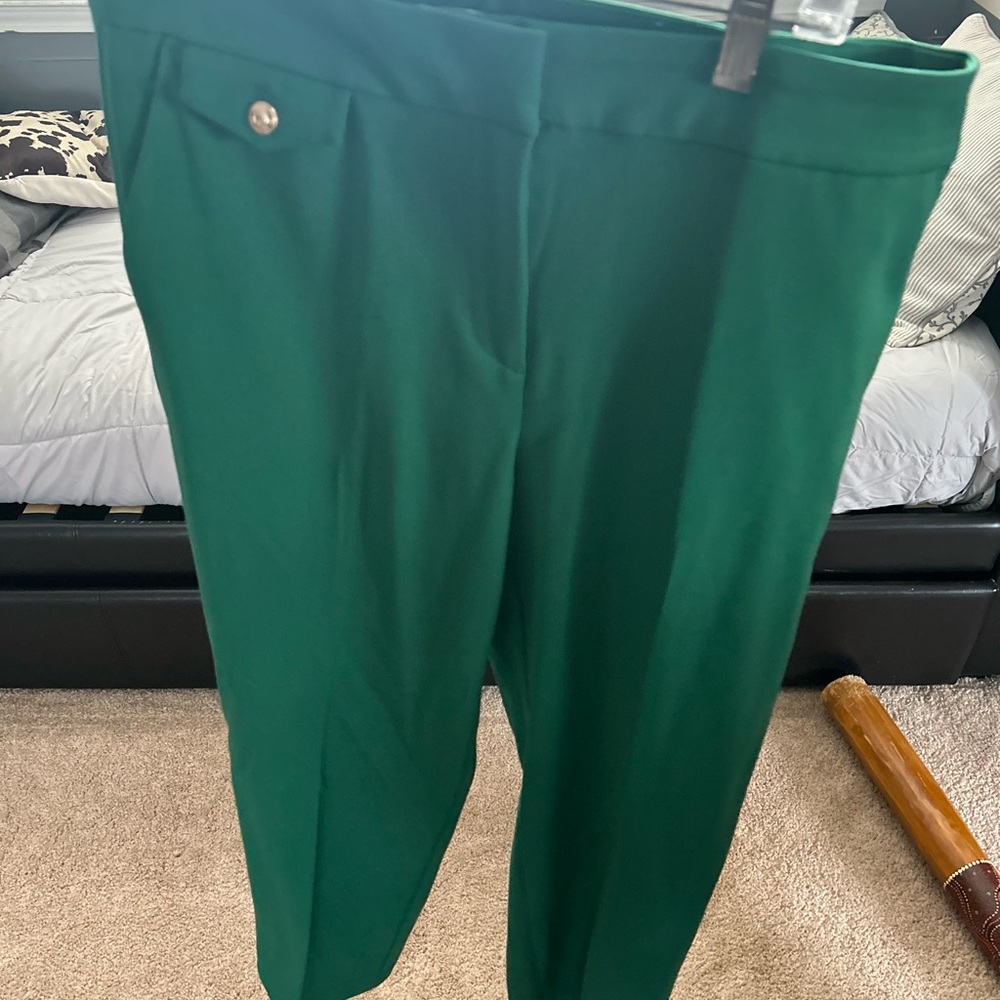 NWOT LOFT RIVERA pants .